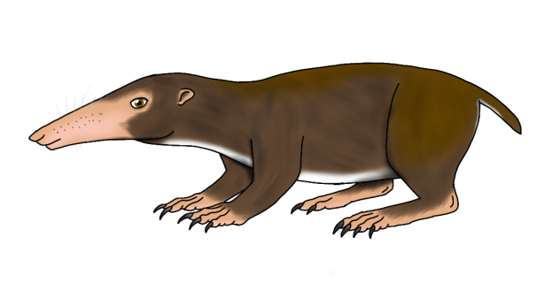 Nectar Shrew2