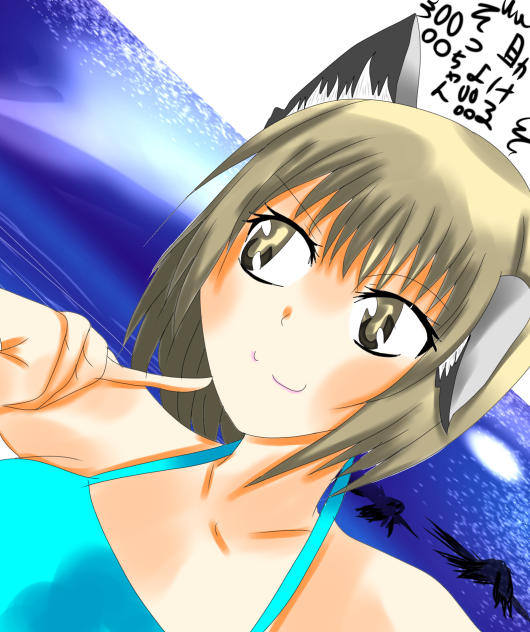 面白くなってきた❗