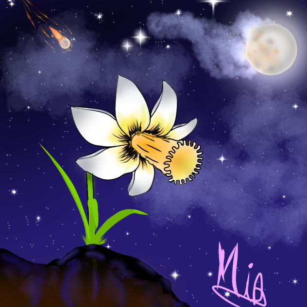 62 Sem Título - ibisPaint