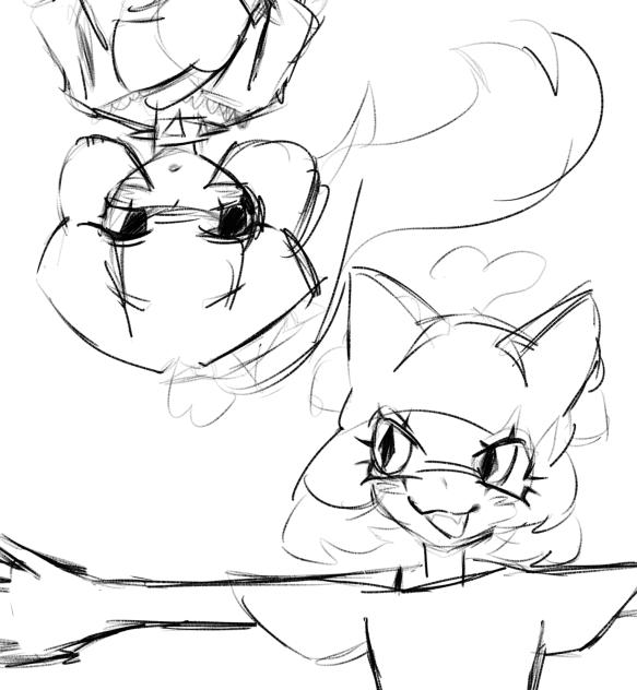 Wait chat let me cook