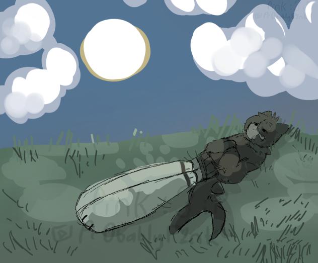 Photosynthesis