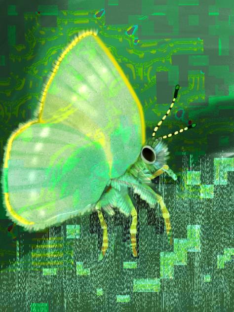 glitchcore geen hairstreak butterfly