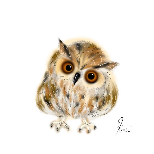 フクロウ　Owl
