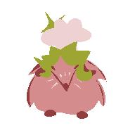spinning fat Seedly rat