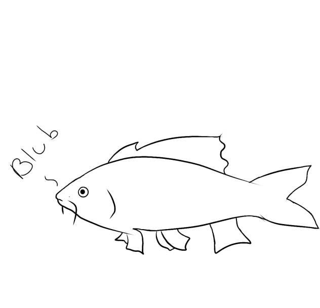 koi fish - ibisPaint