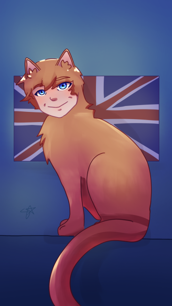 day 2 ed sheeran cat