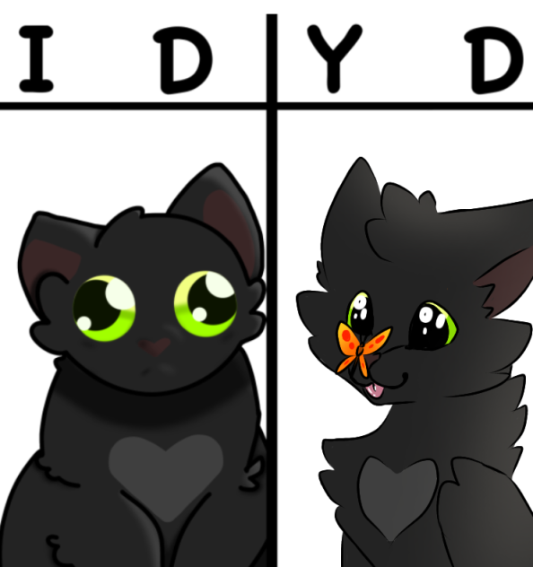 collab with Tara!