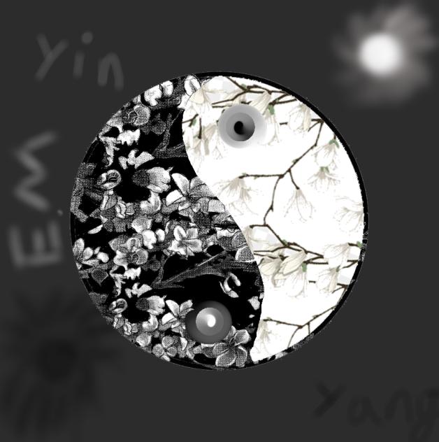 Yin & Yang - ibisPaint