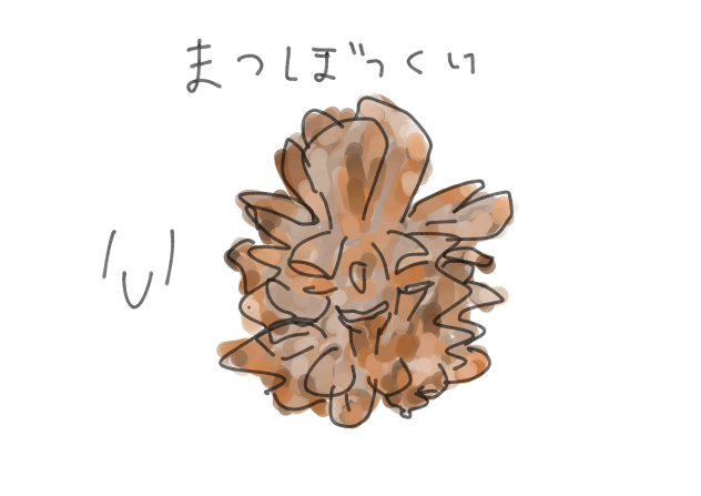 まつぼっくり