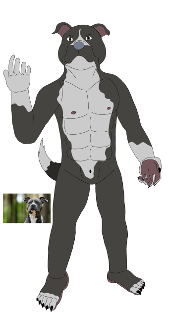 Furry realist Pitbull