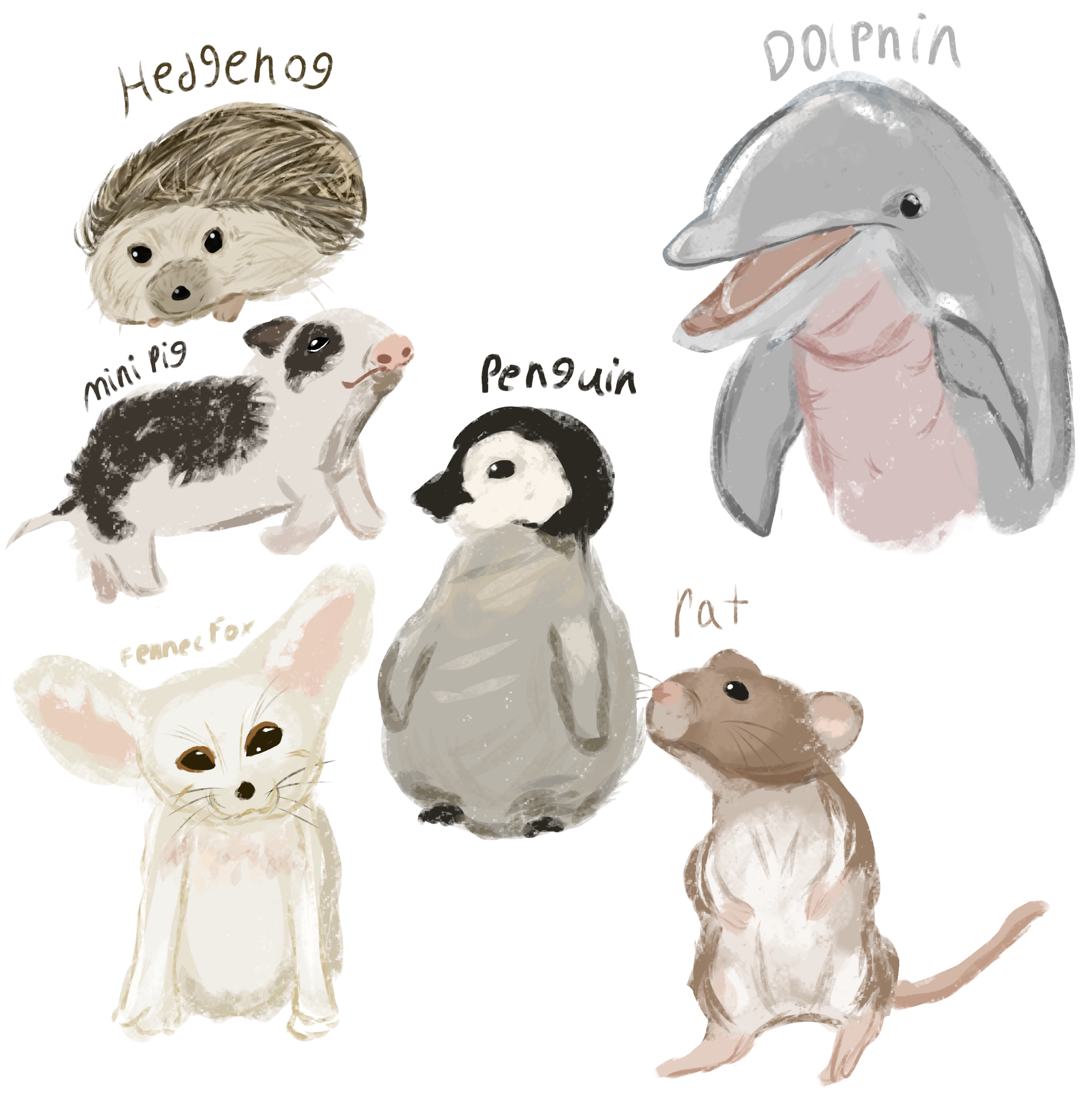 Cute animals - ibisPaint