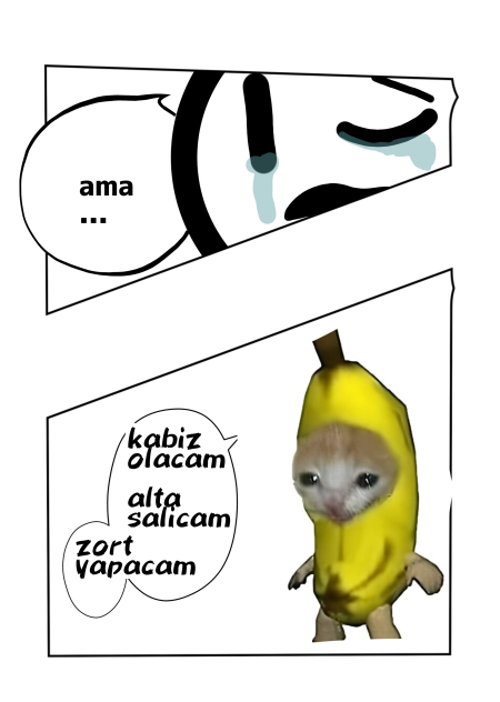 İlk karikatürüm
