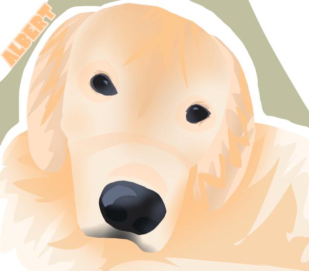 ~Albert~
