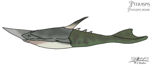Pteraspis dixoni