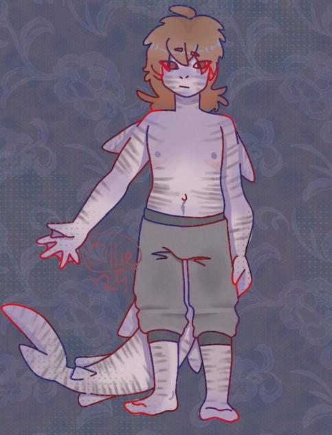 tiger shark