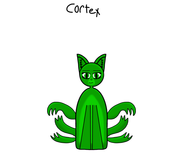 Cortex