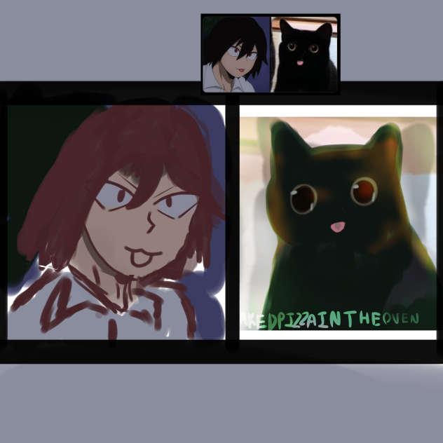 Kirishima compared to cat