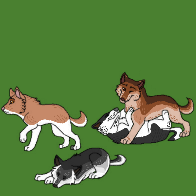 Wolfy’s younger siblings