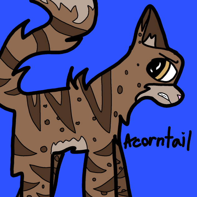 Acorntail