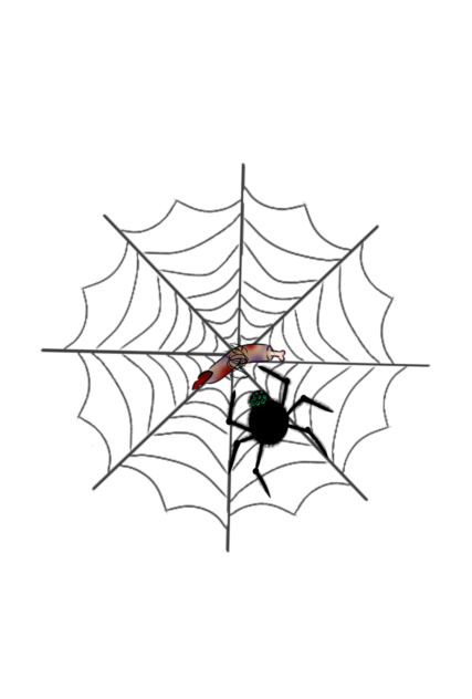 Spider web