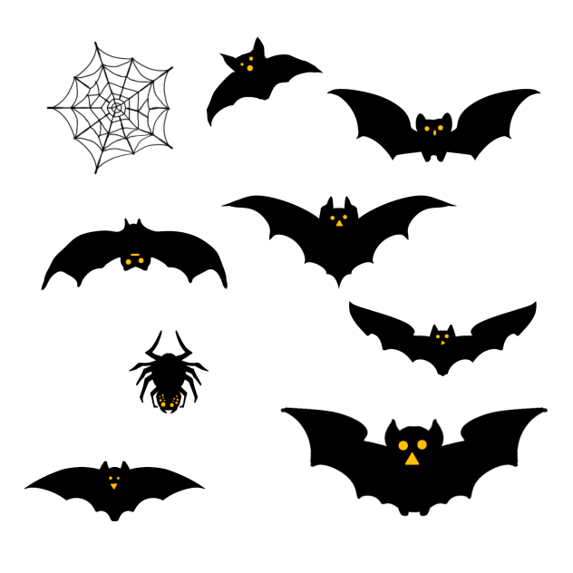 06 Bats and a spider