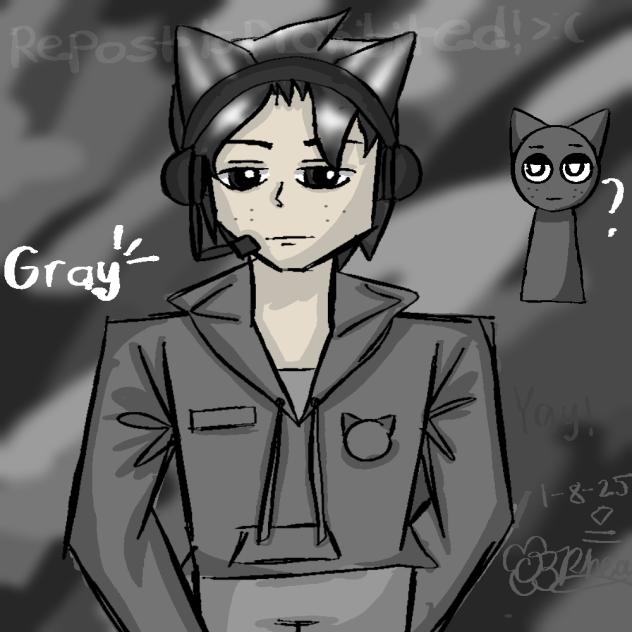 Gray as a human 🩶 (Gamer)