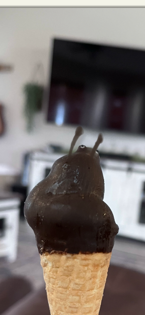 Snail