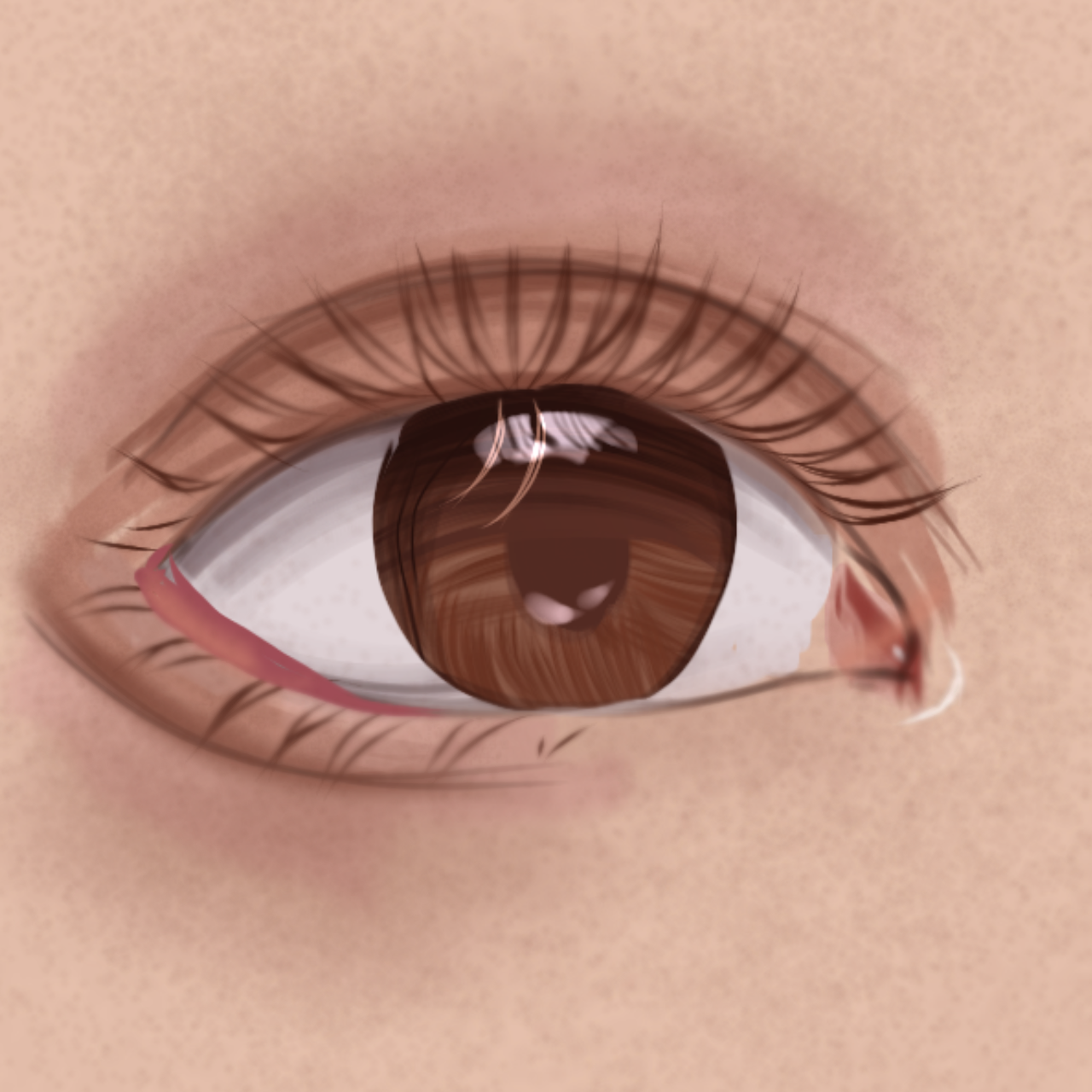 realistic eye - ibisPaint