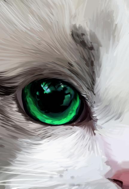 MEOww ₍^. .^₎⟆