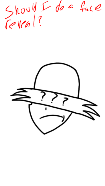 Should I do a face reveal