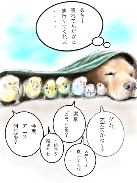 今日、梅雨の中休み