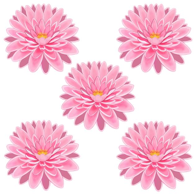 Lotus Pattern 2