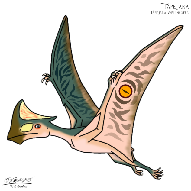 Tapejara wellnhoferi