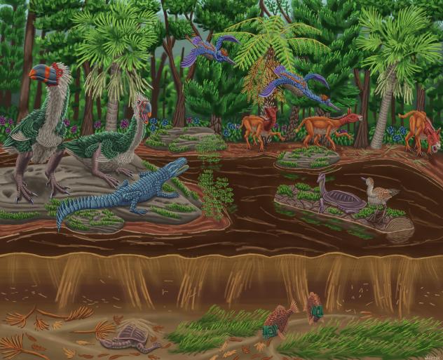 Chuckanut Formation 50M years ago