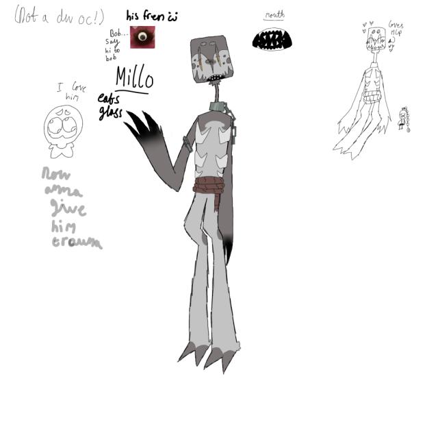 Meet millo