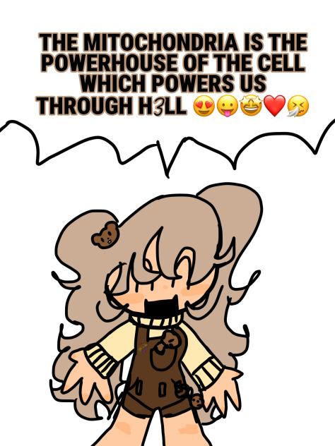 THE MITOCHONDRIA IS THE POWERHOUSE