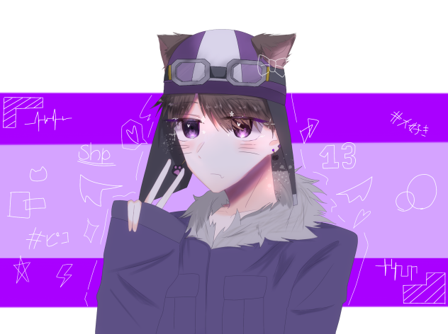猫ショッピ