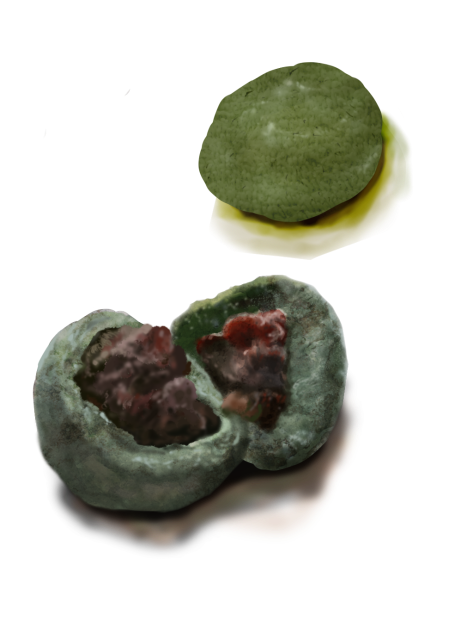 素材 草餅 Ibispaint