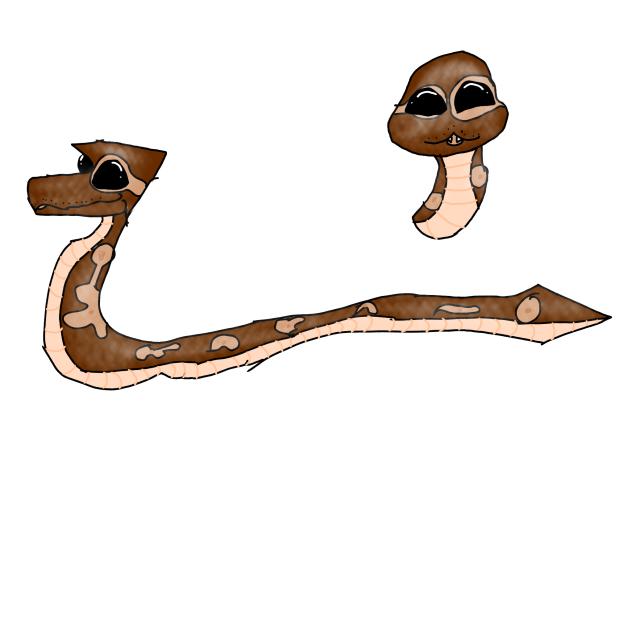 Kaa!