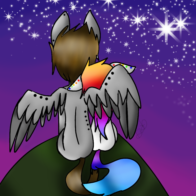 midnight skies - ibisPaint
