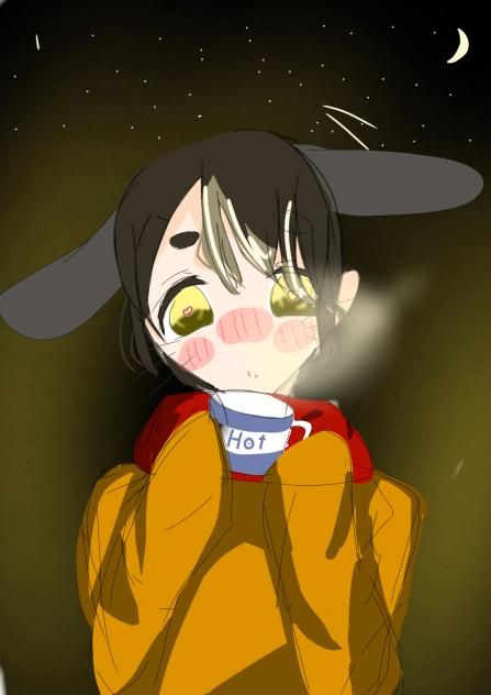寒い冬に飲むココアは格別ですなあ