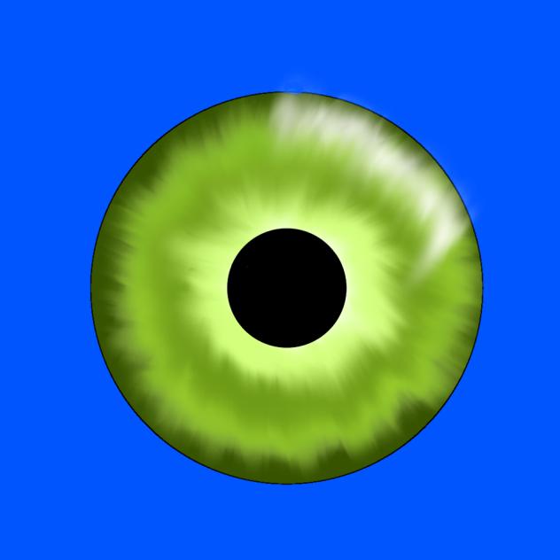 Eye