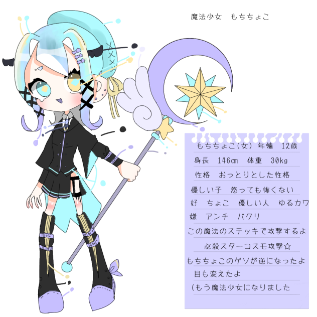 もちちょこ資料(代理2)