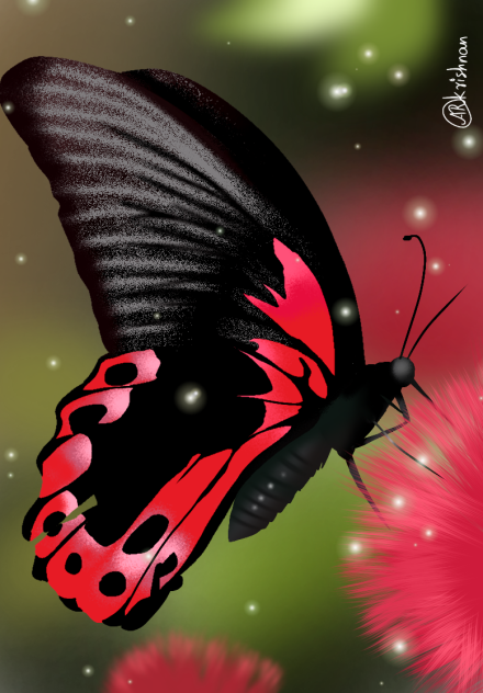 Butterfly #3