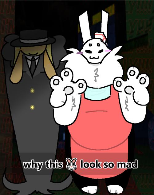 why this 🐰 look so mad