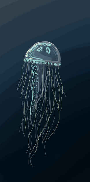 Jellyfish - ibisPaint