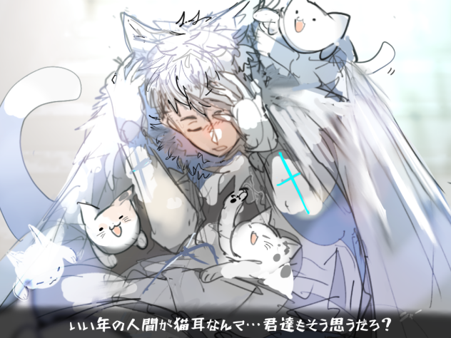 猫の日テオ