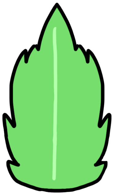Palm Leaf’s asset