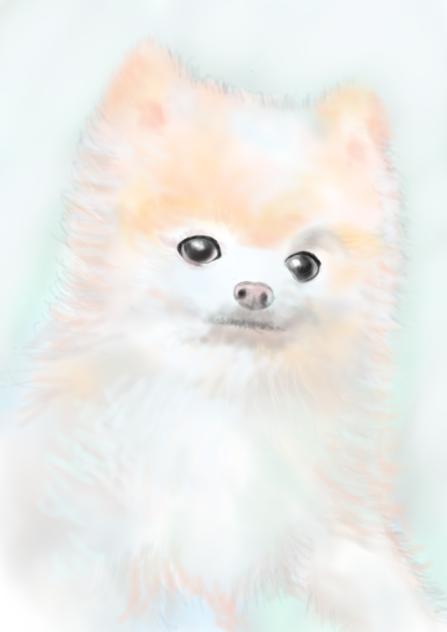 いぬ4