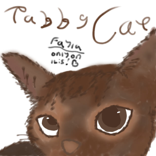 tabby cat